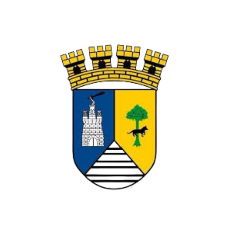 Logo 7